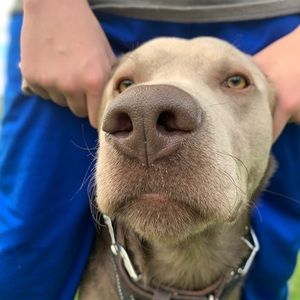 Meet your Posher, Eva